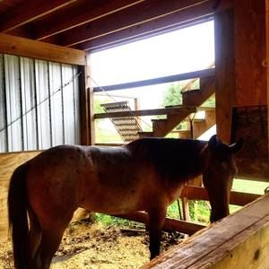 Meet your Posher, Kristy